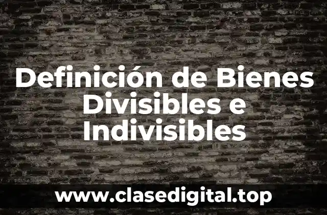 Definición de Bienes Divisibles e Indivisibles