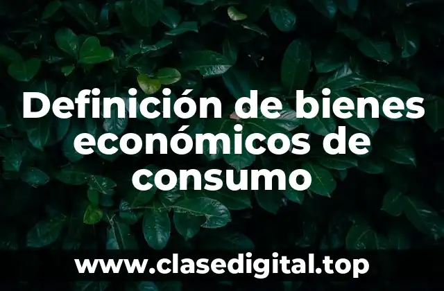 Definición de bienes económicos de consumo