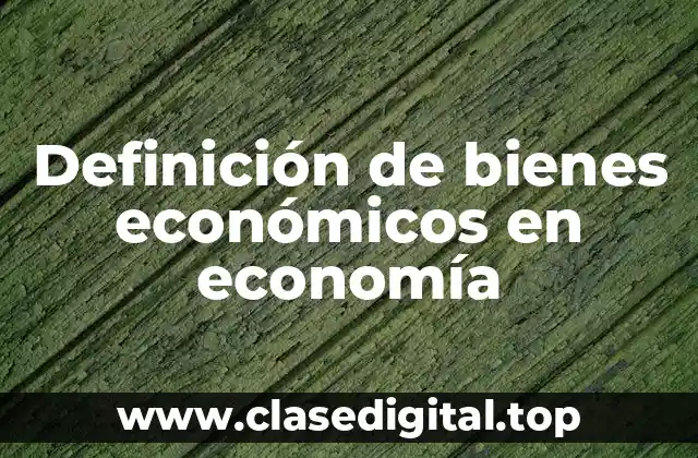 Definición de bienes económicos en economía