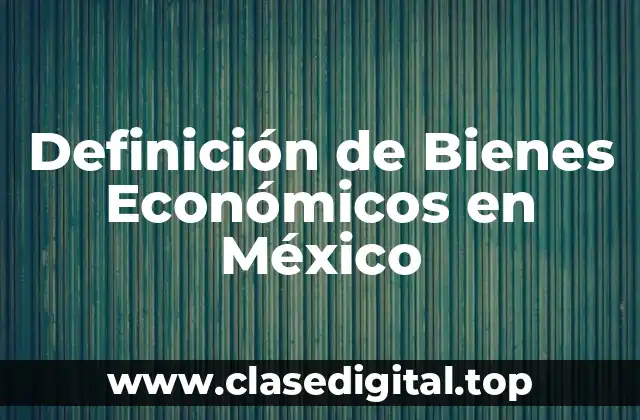 Definición de Bienes Económicos en México