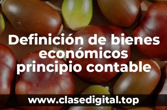 Definición de bienes económicos principio contable