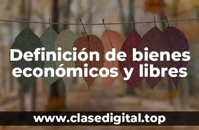 Definición de bienes económicos y libres