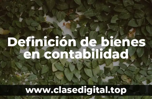 Ejemplos de bienes en contabilidad