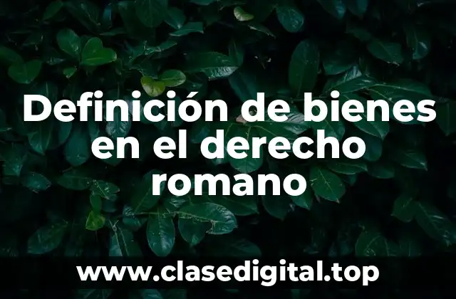 Definición de bienes en el derecho romano