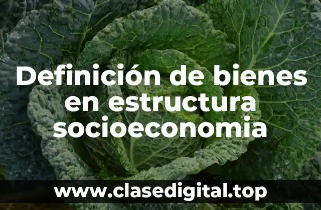 Definición de bienes en estructura socioeconomia
