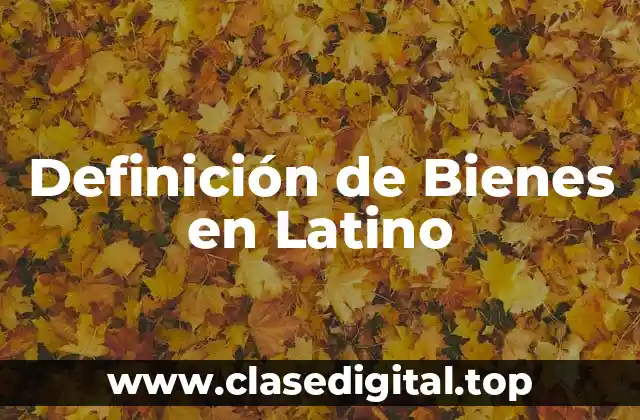 Definición de Bienes en Latino