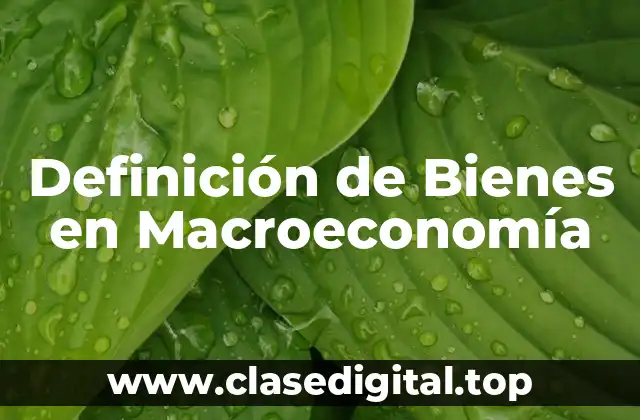 Definición de Bienes en Macroeconomía