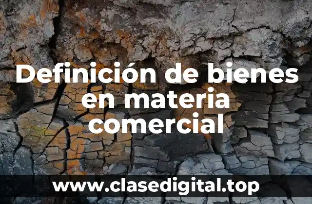Definición de bienes en materia comercial