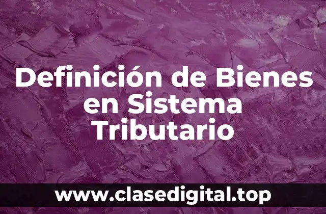 Definición técnica de bienes en sistema tributario