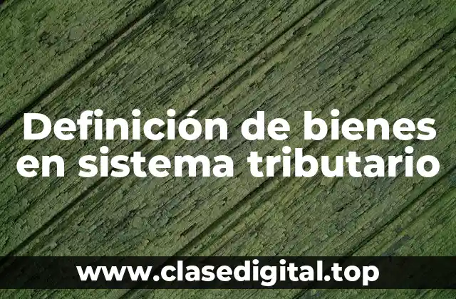 Definición de bienes en sistema tributario