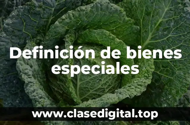 Ejemplos de bienes especiales