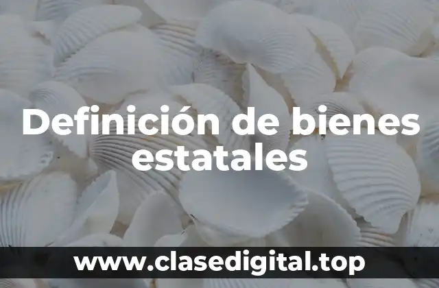 Definición de bienes estatales