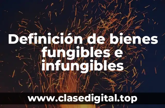 Definición técnica de bienes fungibles e infungibles