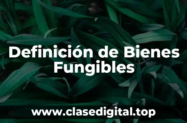 Definición de Bienes Fungibles