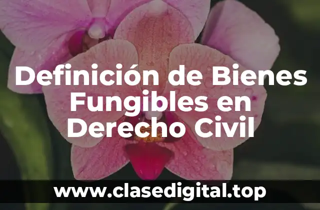 Definición de Bienes Fungibles en Derecho Civil