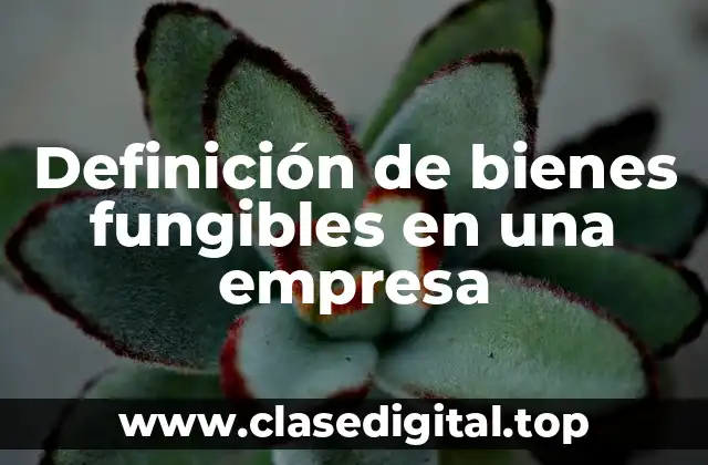 Definición de bienes fungibles en una empresa