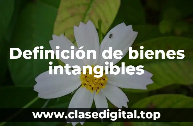 Definición técnica de bienes intangibles