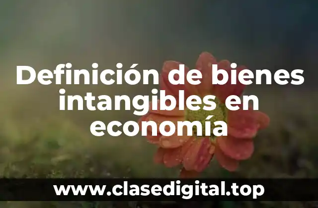 Definición de bienes intangibles en economía