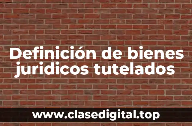 Definición técnica de bienes juridicos tutelados