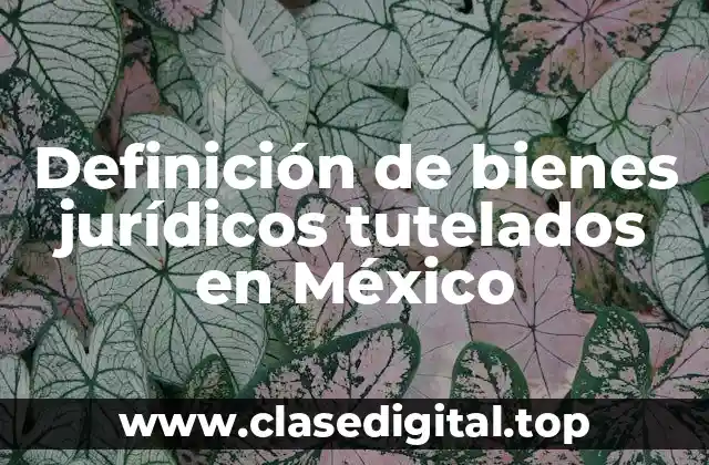 Ejemplos de bienes jurídicos tutelados en México