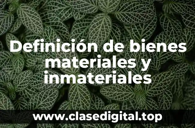 Ejemplos de bienes materiales