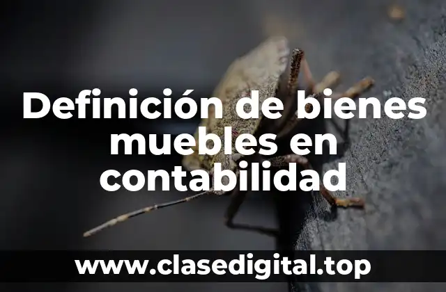 Definición de bienes muebles en contabilidad