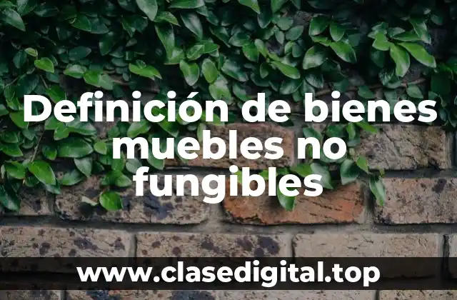 Definición de bienes muebles no fungibles