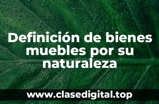 Definición de bienes muebles por su naturaleza