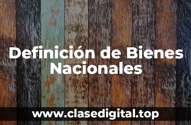 Definición Técnica de Bienes Nacionales