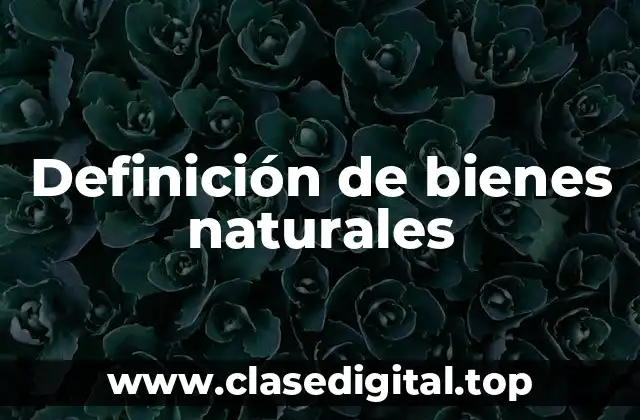 Definición de bienes naturales