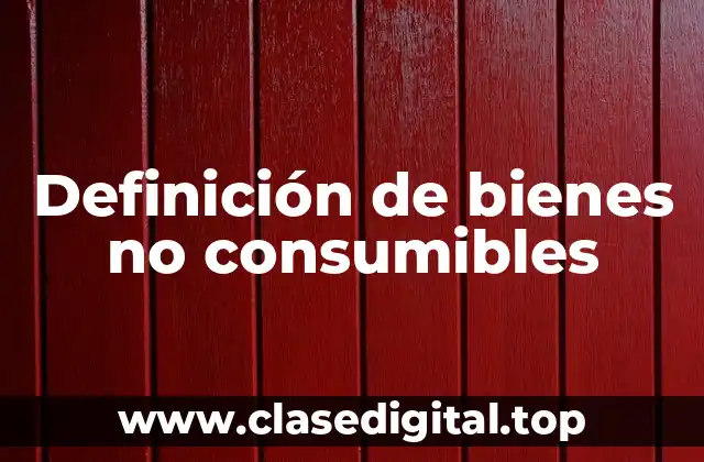 Definición de bienes no consumibles