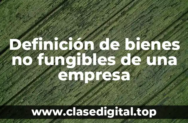 Definición de bienes no fungibles de una empresa
