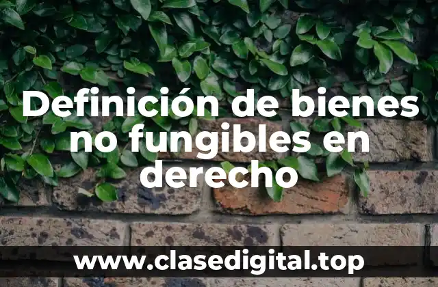 Definición de bienes no fungibles en derecho