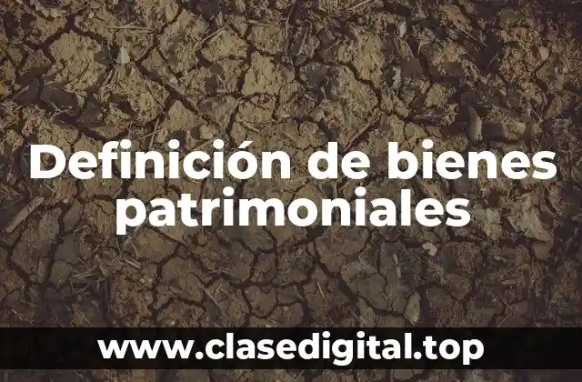 Definición técnica de bienes patrimoniales