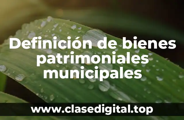 Definición de bienes patrimoniales municipales