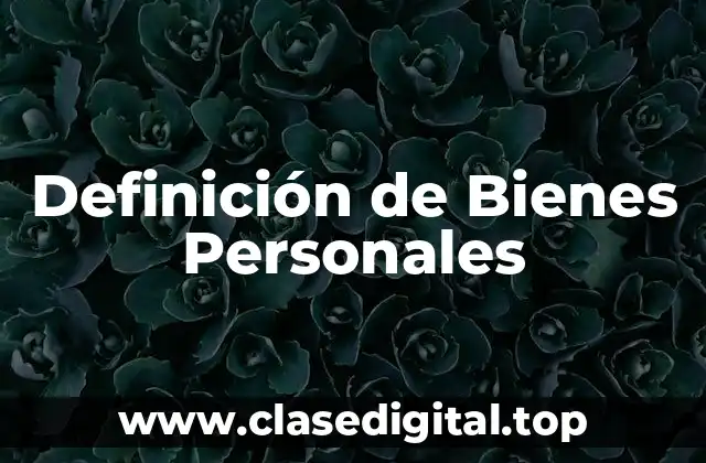 Definición técnica de bienes personales