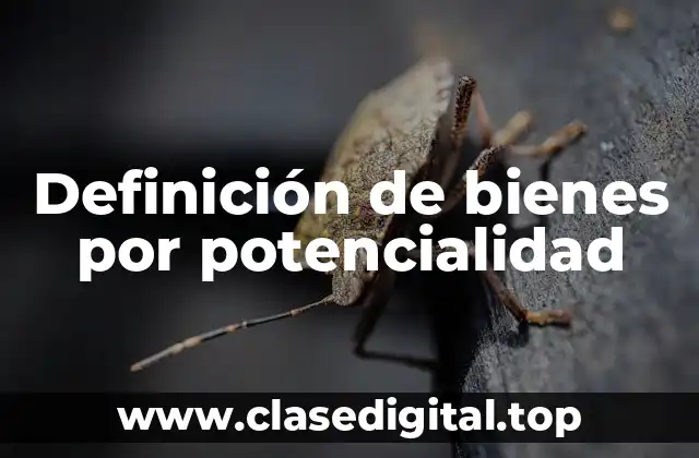 Definición de bienes por potencialidad