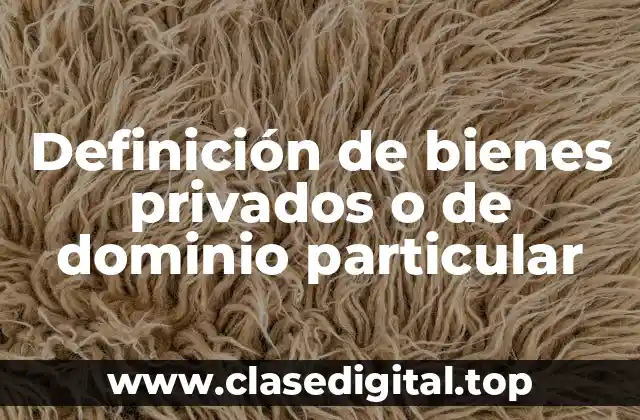 Ejemplos de bienes privados