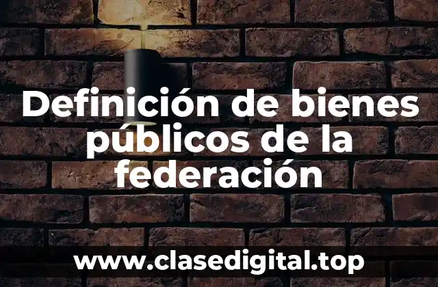 Definición de bienes públicos de la federación