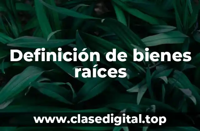 Definición de bienes raíces