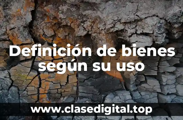 Definición de bienes según su uso