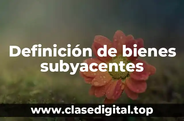 Definición de bienes subyacentes