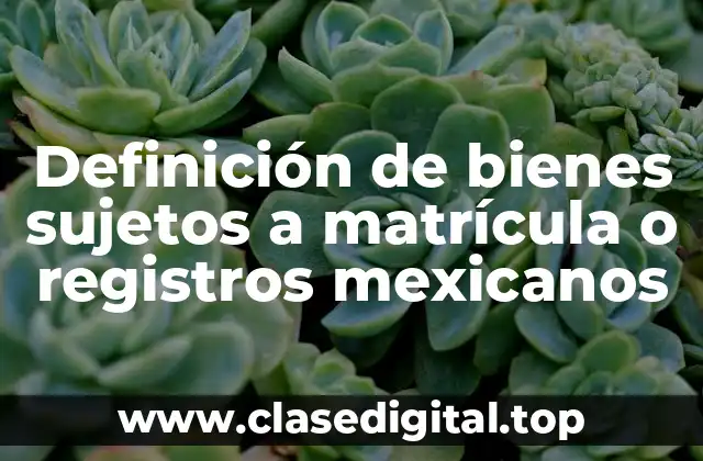 Definición de bienes sujetos a matrícula o registros mexicanos