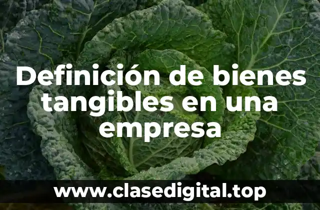Definición de bienes tangibles en una empresa