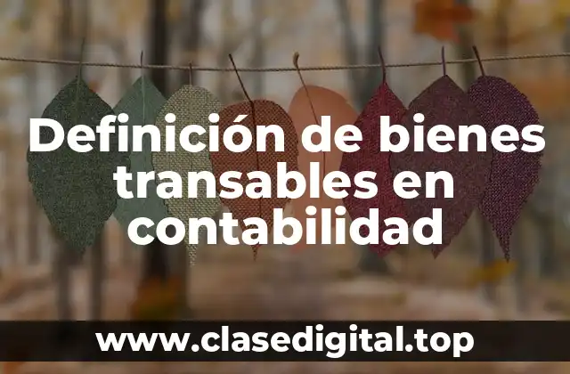 Definición de bienes transables en contabilidad