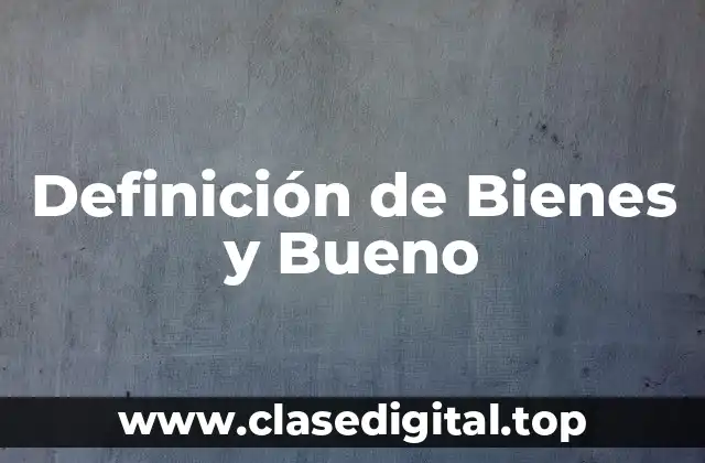 Definición de Bienes y Bueno