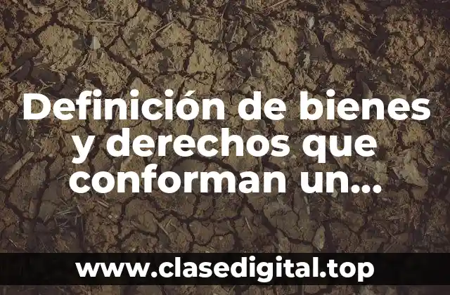 Definición de bienes y derechos que conforman un patrimonio personal