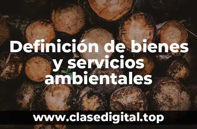 Definición técnica de bienes y servicios ambientales