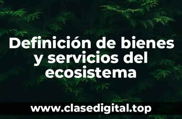 Definición de bienes y servicios del ecosistema