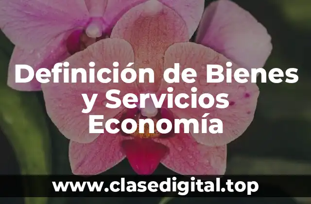 Definición de Bienes y Servicios Economía